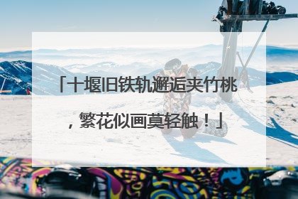十堰旧铁轨邂逅夹竹桃，繁花似画莫轻触！