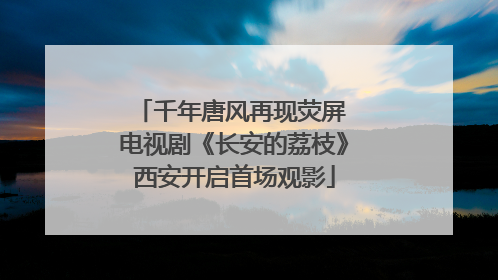 千年唐风再现荧屏 电视剧《长安的荔枝》西安开启首场观影