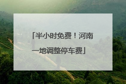 半小时免费！河南一地调整停车费