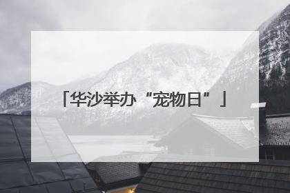 华沙举办“宠物日”