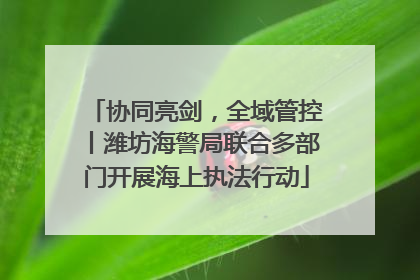 协同亮剑，全域管控丨潍坊海警局联合多部门开展海上执法行动