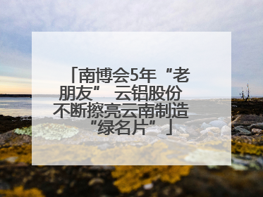南博会5年“老朋友” 云铝股份不断擦亮云南制造“绿名片”