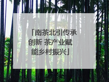 南茶北引传承创新 茶产业赋能乡村振兴