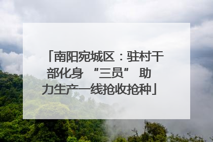 南阳宛城区：驻村干部化身 “三员” 助力生产一线抢收抢种
