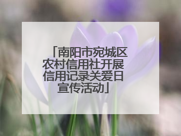 南阳市宛城区农村信用社开展信用记录关爱日宣传活动
