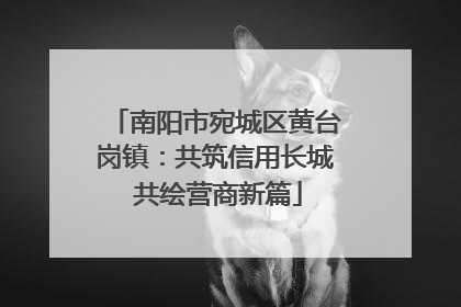 南阳市宛城区黄台岗镇：共筑信用长城 共绘营商新篇