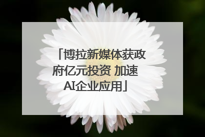 博拉新媒体获政府亿元投资 加速AI企业应用