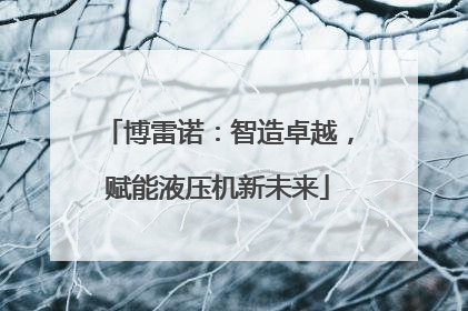 博雷诺：智造卓越，赋能液压机新未来