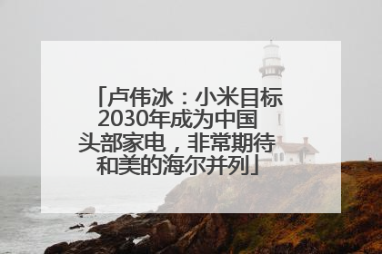 卢伟冰：小米目标2030年成为中国头部家电，非常期待和美的海尔并列