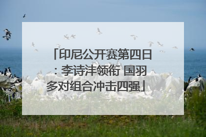 印尼公开赛第四日：李诗沣领衔 国羽多对组合冲击四强