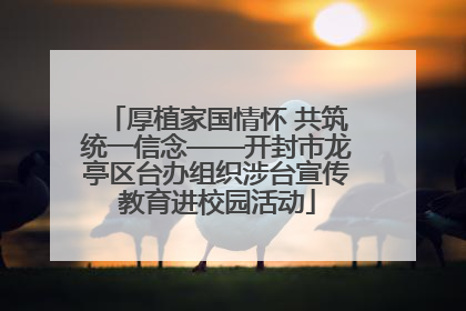 厚植家国情怀 共筑统一信念——开封市龙亭区台办组织涉台宣传教育进校园活动