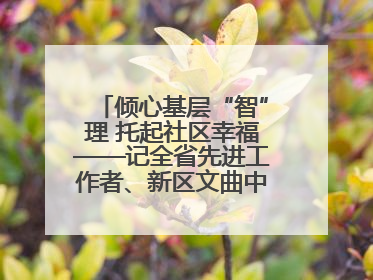 倾心基层“智”理 托起社区幸福——记全省先进工作者、新区文曲中心社区党委书记董世弘