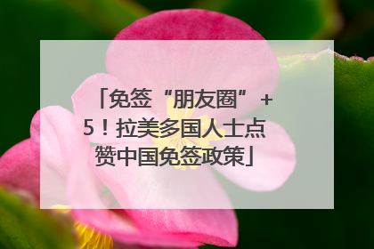 免签“朋友圈”+5！拉美多国人士点赞中国免签政策