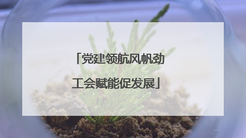 党建领航风帆劲 工会赋能促发展