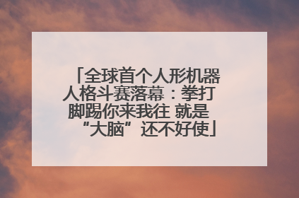 全球首个人形机器人格斗赛落幕：拳打脚踢你来我往 就是“大脑”还不好使