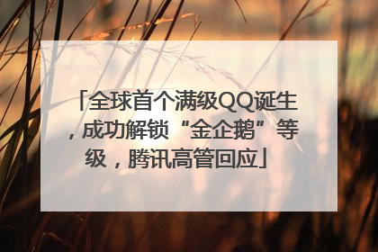 全球首个满级QQ诞生，成功解锁“金企鹅”等级，腾讯高管回应