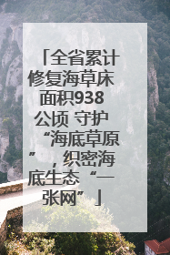全省累计修复海草床面积938公顷 守护“海底草原”，织密海底生态“一张网”