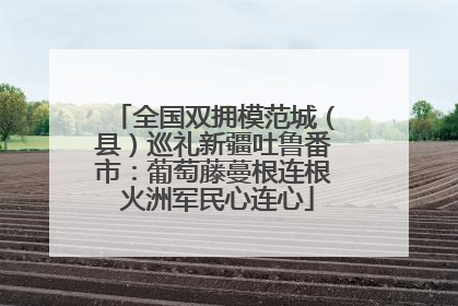 全国双拥模范城（县）巡礼新疆吐鲁番市：葡萄藤蔓根连根 火洲军民心连心