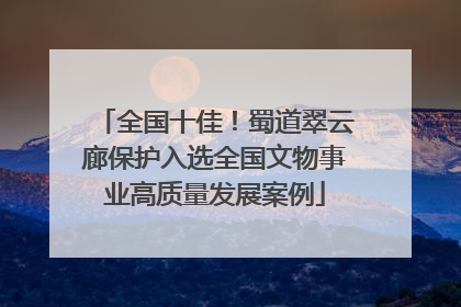 全国十佳！蜀道翠云廊保护入选全国文物事业高质量发展案例