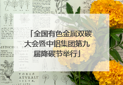 全国有色金属双碳大会暨中铝集团第九届降碳节举行