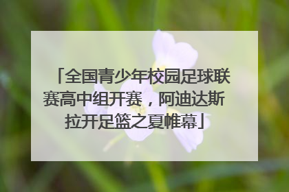 全国青少年校园足球联赛高中组开赛，阿迪达斯拉开足篮之夏帷幕
