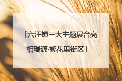 六汪镇三大主题展台亮相瑞源·繁花里街区