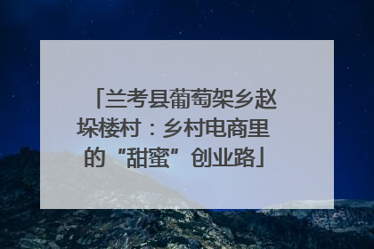 兰考县葡萄架乡赵垛楼村：乡村电商里的“甜蜜”创业路