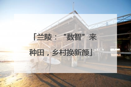 兰陵：“数智”来种田，乡村换新颜