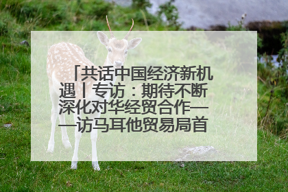 共话中国经济新机遇丨专访：期待不断深化对华经贸合作——访马耳他贸易局首席执行官布蒂吉格