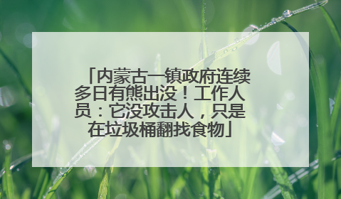 内蒙古一镇政府连续多日有熊出没！工作人员：它没攻击人，只是在垃圾桶翻找食物