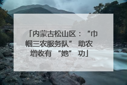 内蒙古松山区：“巾帼三农服务队” 助农增收有 “她” 功