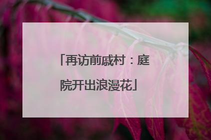 再访前戚村：庭院开出浪漫花