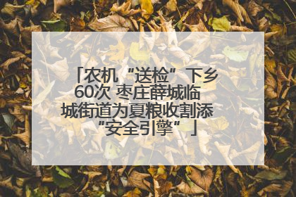 农机“送检”下乡60次 枣庄薛城临城街道为夏粮收割添“安全引擎”