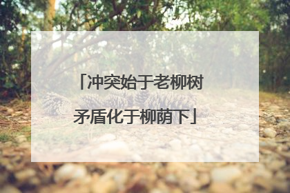 冲突始于老柳树 矛盾化于柳荫下