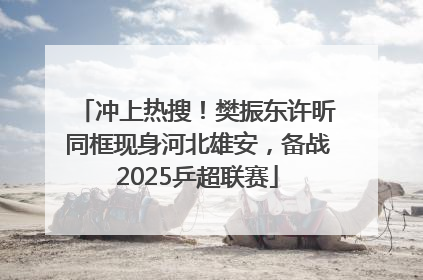 冲上热搜！樊振东许昕同框现身河北雄安，备战2025乒超联赛