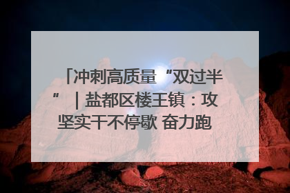 冲刺高质量“双过半”｜盐都区楼王镇：攻坚实干不停歇 奋力跑赢“上半场”