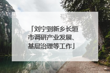 刘宁到新乡长垣市调研产业发展、基层治理等工作