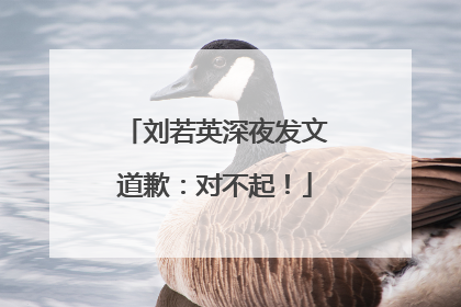 刘若英深夜发文道歉：对不起！