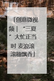 创意微视频｜“三夏”大忙正当时 麦浪滚滚穗飘香
