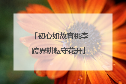 初心如故育桃李 跨界耕耘守花开
