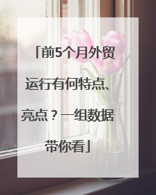 前5个月外贸运行有何特点、亮点？一组数据带你看