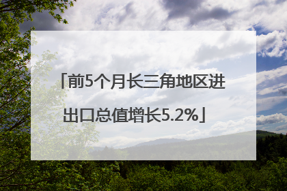 前5个月长三角地区进出口总值增长5.2%