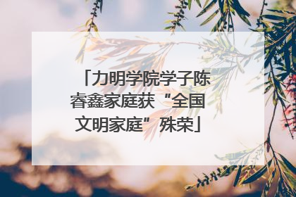 力明学院学子陈睿鑫家庭获“全国文明家庭”殊荣
