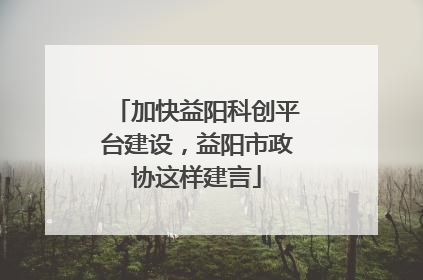 加快益阳科创平台建设，益阳市政协这样建言