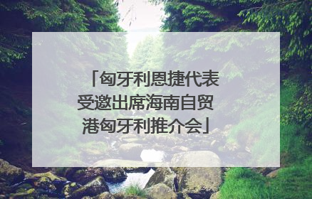 匈牙利恩捷代表受邀出席海南自贸港匈牙利推介会
