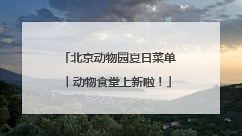 北京动物园夏日菜单丨动物食堂上新啦！
