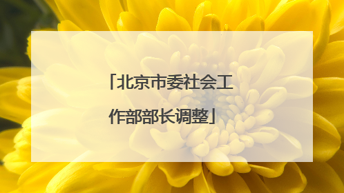 北京市委社会工作部部长调整