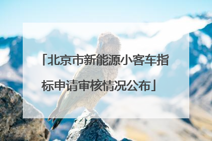 北京市新能源小客车指标申请审核情况公布