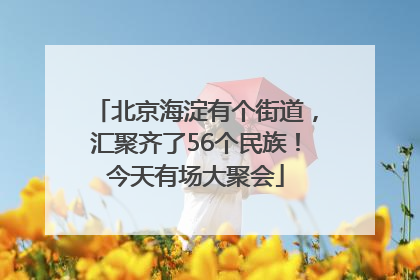 北京海淀有个街道，汇聚齐了56个民族！今天有场大聚会