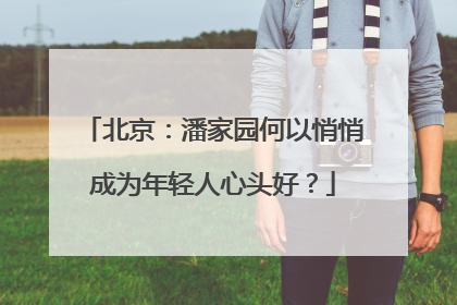 北京：潘家园何以悄悄成为年轻人心头好？